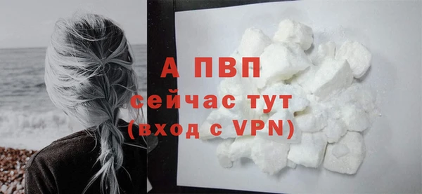 гашик Белокуриха