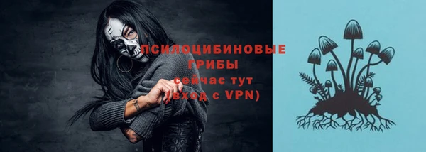 гашик Белокуриха